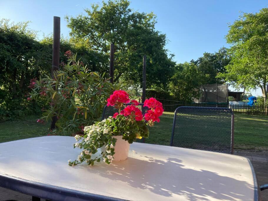 Helle Wohnung Mit Wintergarten - Nahe Ruhrgebiet Und Freizeitpark Movie Park Bottrop Buitenkant foto